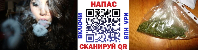 Бошки Шишки планчик  Клинцы 